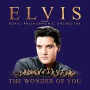 The Wonder Of You Ft The Royal Philharmonic Orchestra